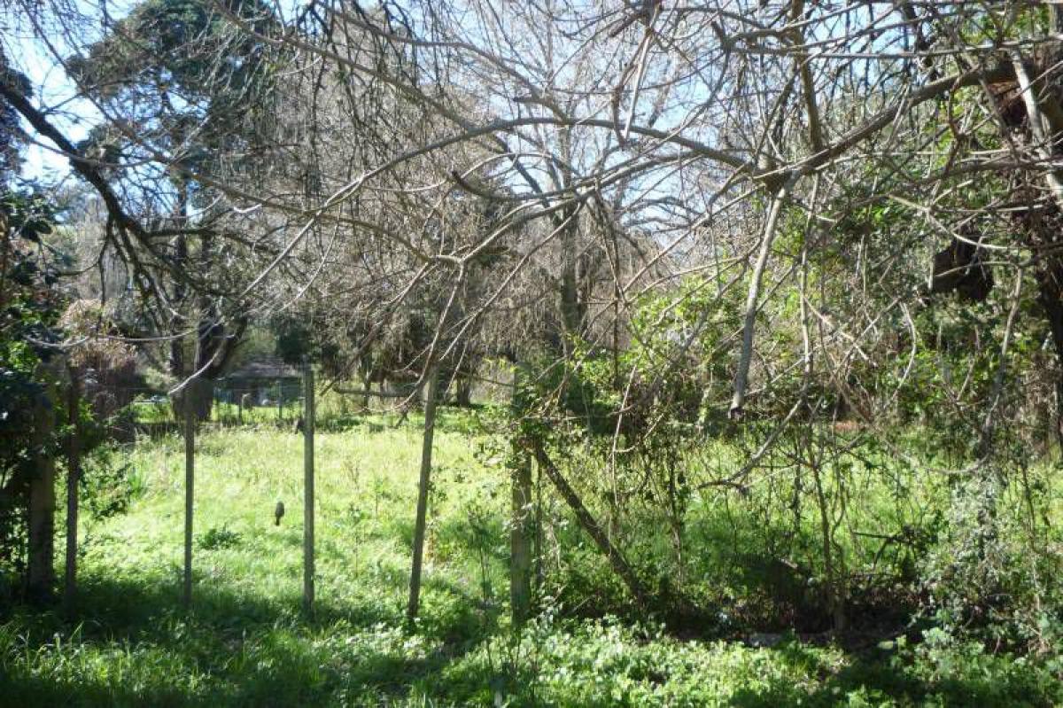  Land in Escobar, Argentina No. 35807