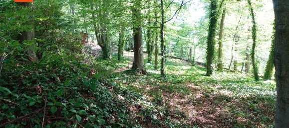 Дом с 3 спальнями в Дрезден, Германия № 288313 3