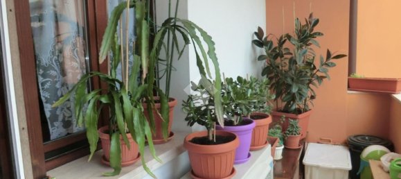 3 bedrooms Apartment in Ferrara, Italy No. 331738 18