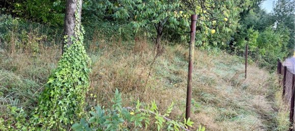 Casa de 3 dormitorios en Merzig-Wadern, Germany No. 364198 6