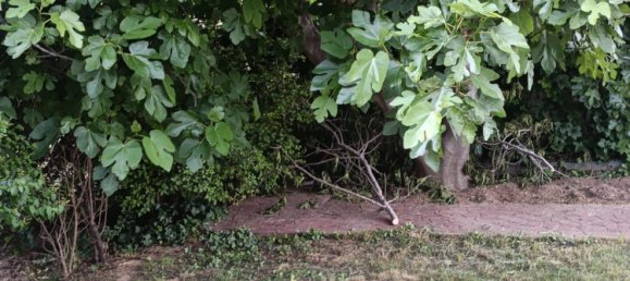 4 chambres Maison à Cuarte de Huerva, Spain No. 62010 15