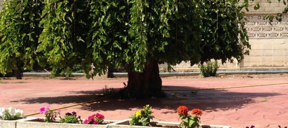 4 chambres Maison à Cuarte de Huerva, Spain No. 62010 13