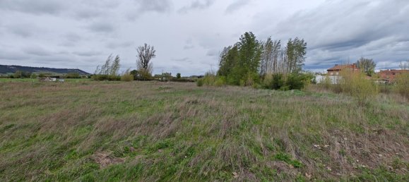 Terrain à Venta de Banos, Spain 3793m² No. 167138 18