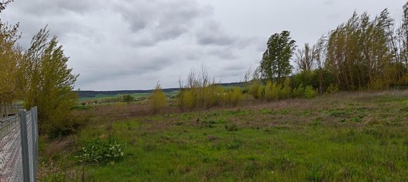 Terrain à Venta de Banos, Spain 3793m² No. 167138 9