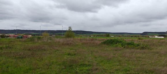 Terrain à Venta de Banos, Spain 3793m² No. 167138 20