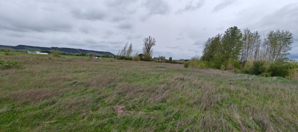 Terrain à Venta de Banos, Spain 3793m² No. 167138 19