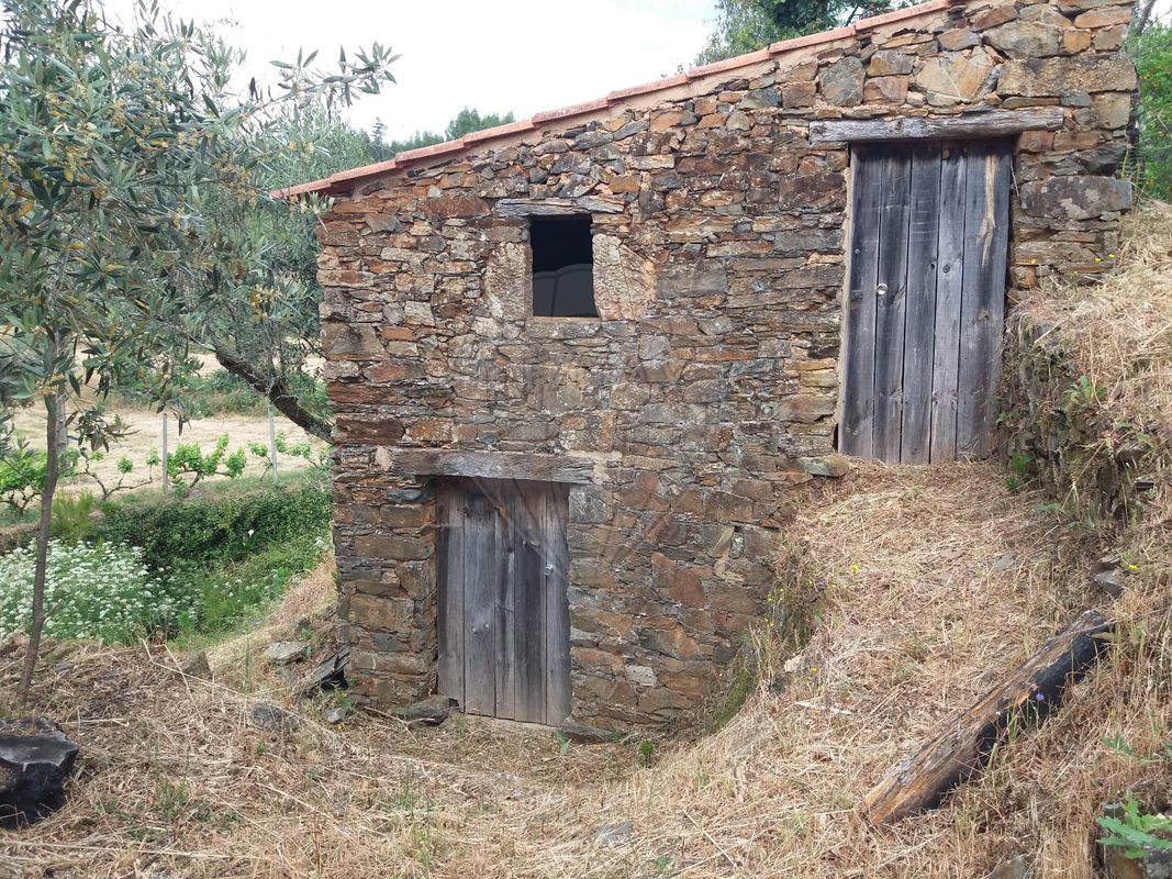 2300m² Land in Troviscal, Portugal No. 74664