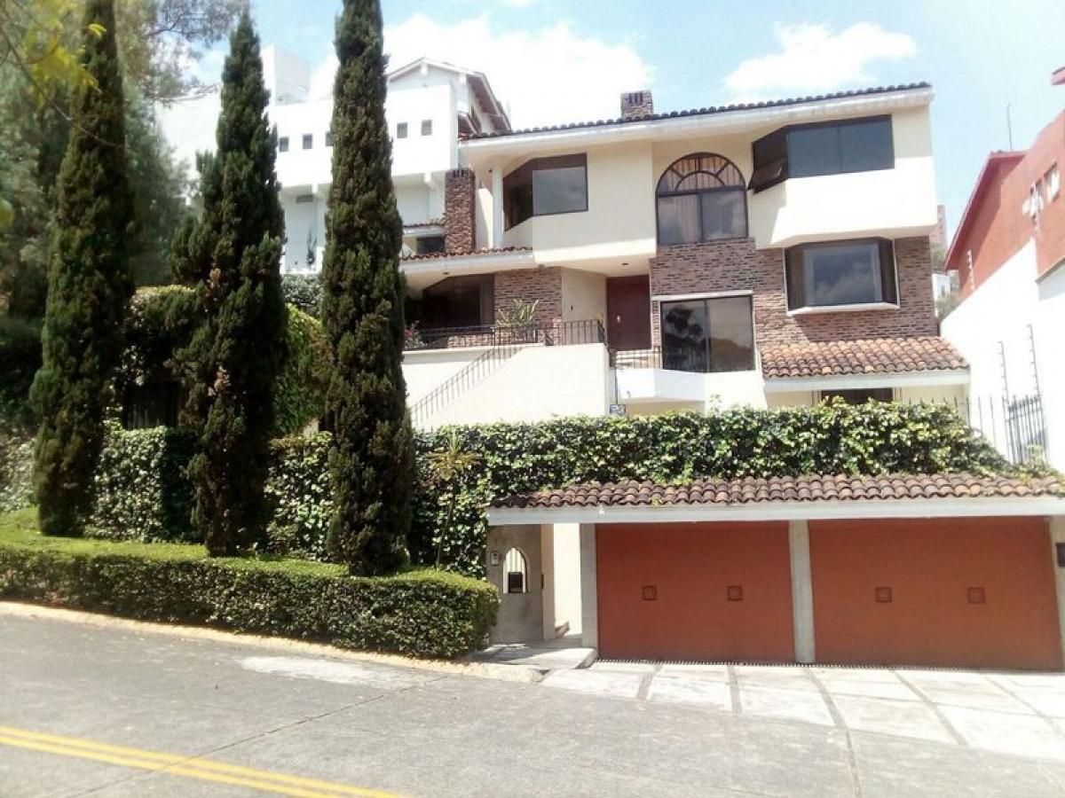 4 bedrooms House in Mexico No. 218750