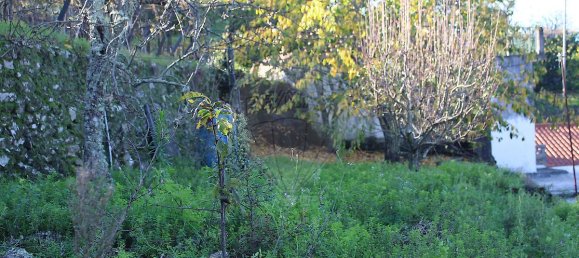 9 Schlafzimmer Haus in Penajoia, Portugal, Nr. 83178 15