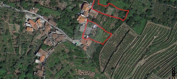 9 Schlafzimmer Haus in Penajoia, Portugal, Nr. 83178 24