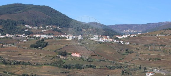 9 Schlafzimmer Haus in Penajoia, Portugal, Nr. 83178 19