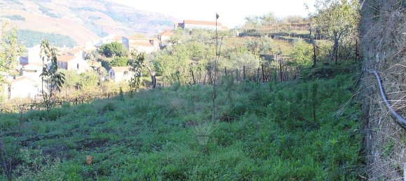 9 Schlafzimmer Haus in Penajoia, Portugal, Nr. 83178 14