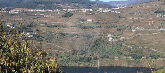 9 Schlafzimmer Haus in Penajoia, Portugal, Nr. 83178 18