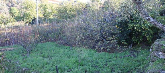 9 Schlafzimmer Haus in Penajoia, Portugal, Nr. 83178 20