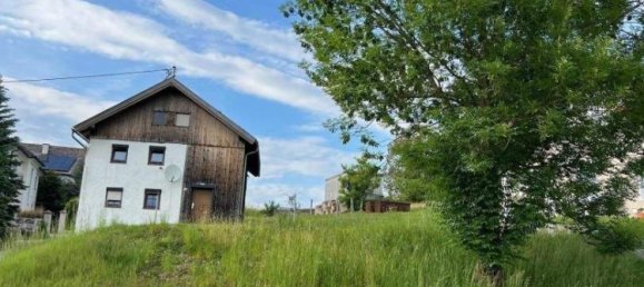  Land in Schalchen, Austria No. 136472 6