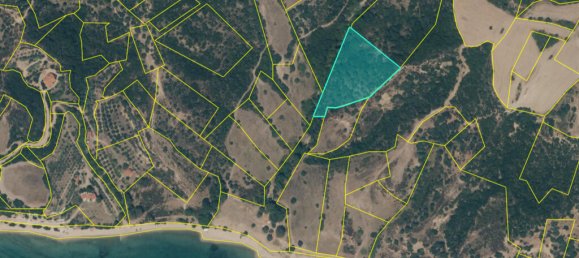 8500m² Land in Chalkidiki, Greece No. 93105 2