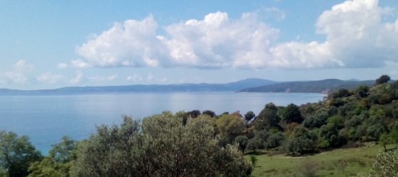 8500m² Land in Chalkidiki, Greece No. 93105 3