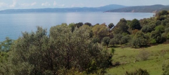 8500m² Land in Chalkidiki, Greece No. 93105 4