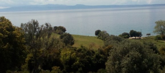 8500m² Land in Chalkidiki, Greece No. 93105 5