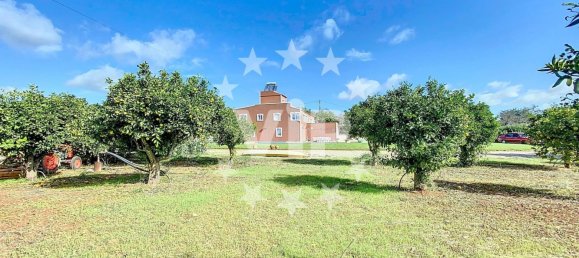 5 bedrooms Villa in Pechao, Portugal No. 128478 35