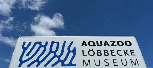 Apartamento de 1 dormitorio en Dusseldorf, Germany No. 312994 28