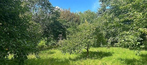 4 rooms Villa in Leipzig, Germany No. 327242 6