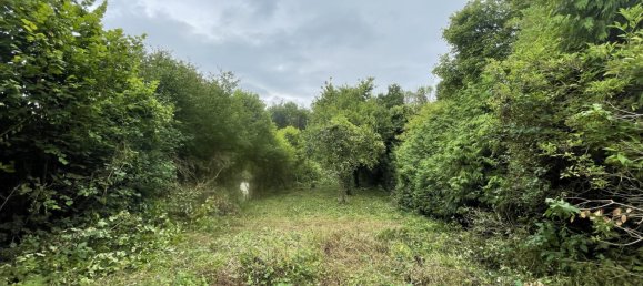 3 bedrooms House in Montigny-Lengrain, France No. 265738 7