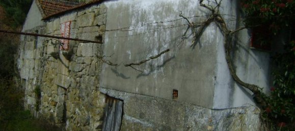 1 bedroom House in Baiao, Portugal No. 79974 9