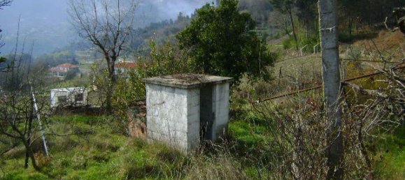 1 bedroom House in Baiao, Portugal No. 79974 12