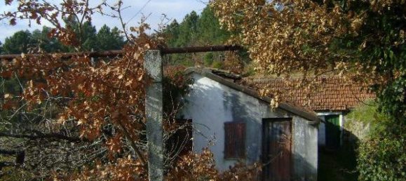 1 bedroom House in Baiao, Portugal No. 79974 10