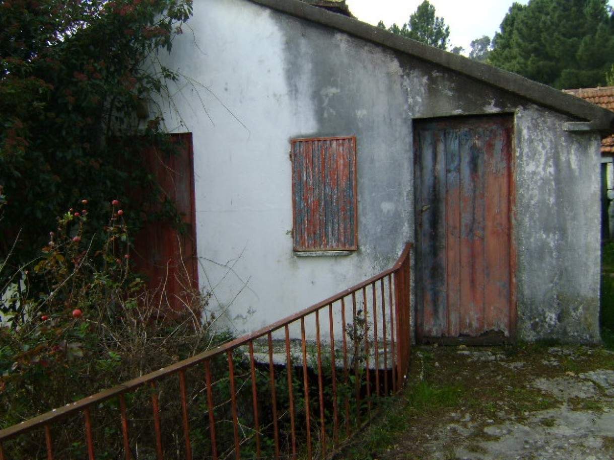 1 bedroom House in Baiao, Portugal No. 79974