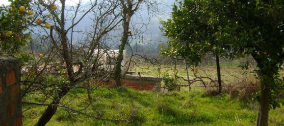 1 bedroom House in Baiao, Portugal No. 79974 8