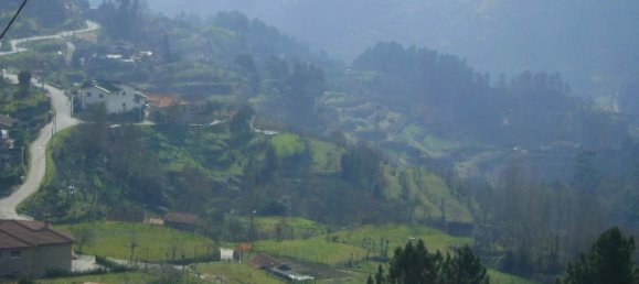 1 bedroom House in Baiao, Portugal No. 79974 3