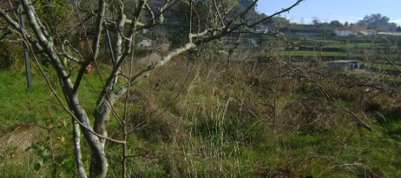 1 bedroom House in Baiao, Portugal No. 79974 6