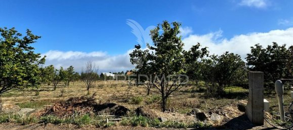 12565m² Land in Calheta, Portugal No. 111350 18