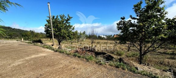 12565m² Land in Calheta, Portugal No. 111350 15