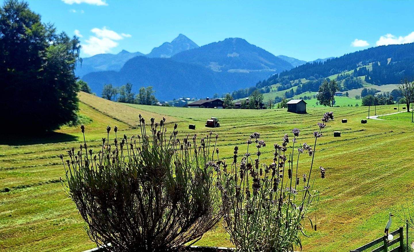 3 rooms Apartment in St. Johann im Pongau, Austria No. 225230