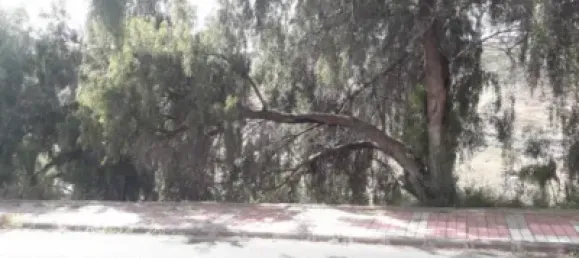 Terreno en Las Palmas De Gran Canaria, Spain No. 101455 6