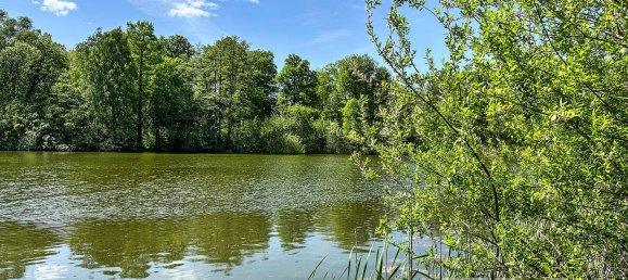 1 bedroom Apartment in Hermsdorf, Germany No. 84387 14