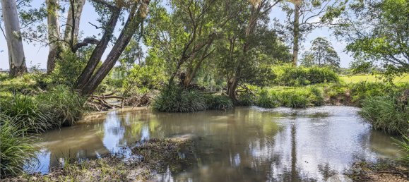 122700m² Land in Beechwood, Australia No. 706 12