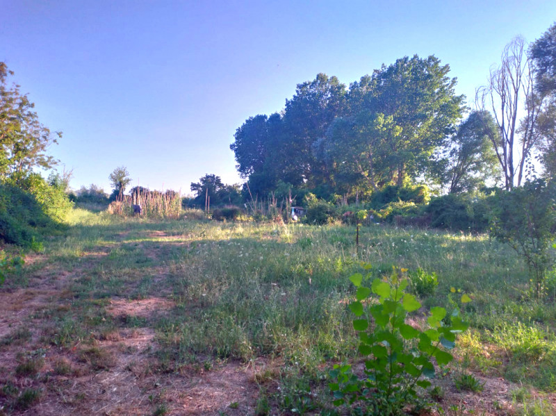 3640m² Land in Tuoro sul Trasimeno, Italy No. 179128