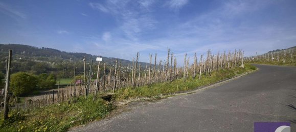 Terrain à Bernkastel-Wittlich, Germany No. 283775 5