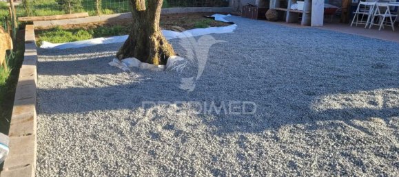 4 غرف نوم منزل في Montemor o Novo, Portugal رقم 15069 4