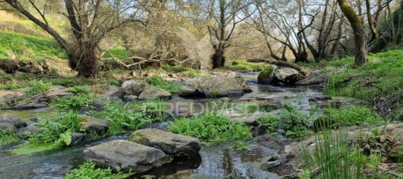 4 غرف نوم منزل في Montemor o Novo, Portugal رقم 15069 6