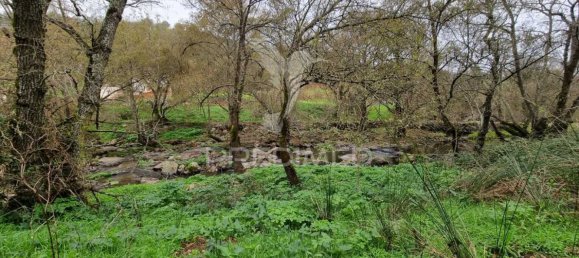 4 غرف نوم منزل في Montemor o Novo, Portugal رقم 15069 5