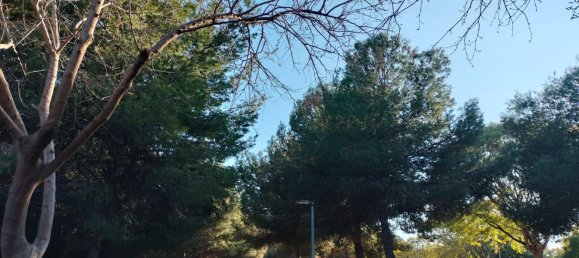 3 chambres Appartement à Paterna, Spain No. 156424 37