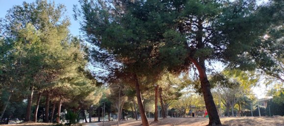 3 chambres Appartement à Paterna, Spain No. 156424 33