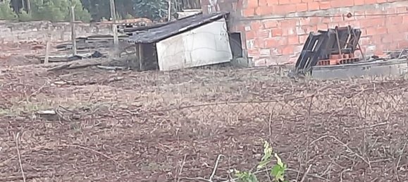 Grundstück in Pombal, Portugal 3950m², Nr. 81749 4