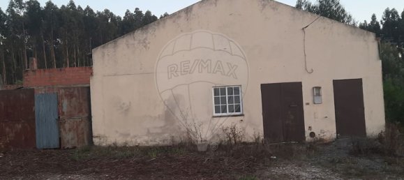 Grundstück in Pombal, Portugal 3950m², Nr. 81749 2