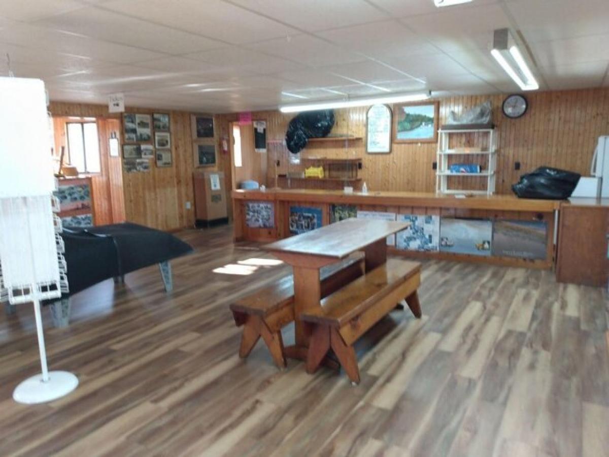  Land in Newberry, USA No. 480231